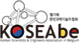 Korean Scientists & Engineers Association in Belgium(KOSEAbe)
